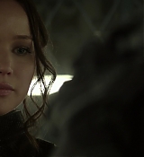 Mockingjay1_1643.jpg