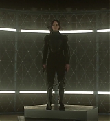 Mockingjay1_1663.jpg