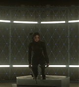 Mockingjay1_1673.jpg