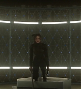 Mockingjay1_1674.jpg