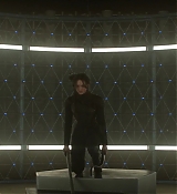 Mockingjay1_1675.jpg