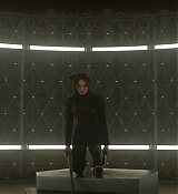 Mockingjay1_1676.jpg