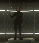 Mockingjay1_1678.jpg