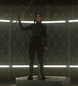 Mockingjay1_1679.jpg