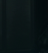 Mockingjay1_1748.jpg