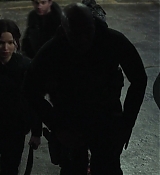 Mockingjay1_1960.jpg