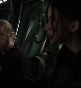 Mockingjay1_1995.jpg