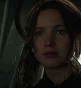 Mockingjay1_2008.jpg