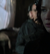 Mockingjay1_2101.jpg