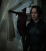 Mockingjay1_2118.jpg