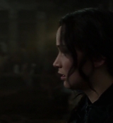 Mockingjay1_2120.jpg