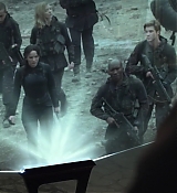 Mockingjay1_2224.jpg
