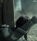 Mockingjay1_2316.jpg