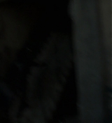 Mockingjay1_2332.jpg