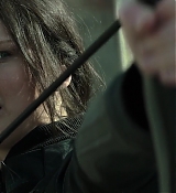 Mockingjay1_2377.jpg