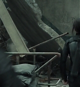 Mockingjay1_2388.jpg