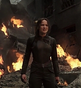 Mockingjay1_2457.jpg