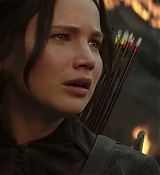Mockingjay1_2471.jpg