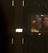 Mockingjay1_2492.jpg