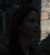 Mockingjay1_2751.jpg