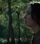 Mockingjay1_2765.jpg