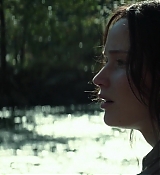 Mockingjay1_2768.jpg
