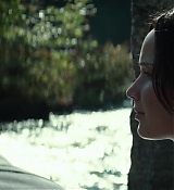 Mockingjay1_2778.jpg