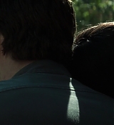 Mockingjay1_2786.jpg