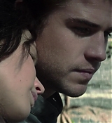 Mockingjay1_2787.jpg