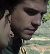 Mockingjay1_2788.jpg