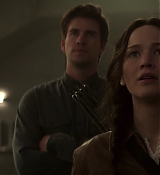 Mockingjay1_2836.jpg