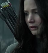 Mockingjay1_3078.jpg