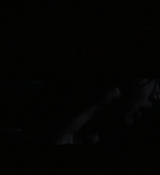 Filename=Mockingjay1_3623.jpg
Filesize=79KiB
Dimensions=1912x792
Date added=Mar 16, 2015 Mockingjay1_3623.jpg