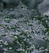 Filename=Mockingjay1_4144.jpg
Filesize=776KiB
Dimensions=1912x792
Date added=Mar 16, 2015 Mockingjay1_4144.jpg