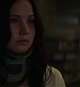 Mockingjay1_5174.jpg