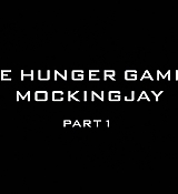 Mockingjay1_5242.jpg