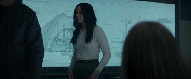 Mockingjay2_0213.jpg