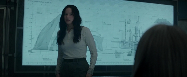 Mockingjay2_0214.jpg