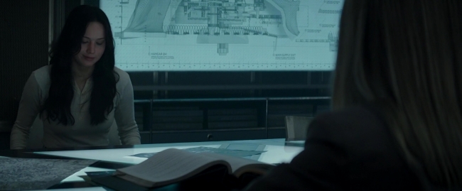 Mockingjay2_0217.jpg