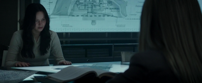 Mockingjay2_0218.jpg
