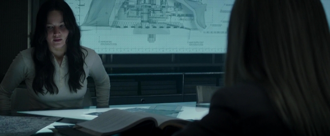 Mockingjay2_0219.jpg