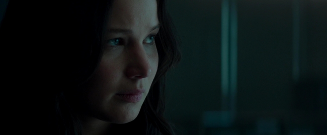 Mockingjay2_1213.jpg