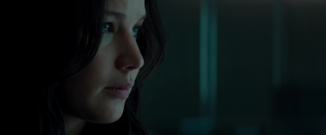 Mockingjay2_1226.jpg