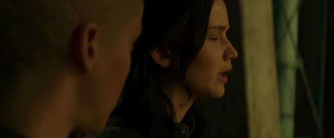 Mockingjay2_1303.jpg