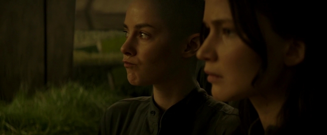 Mockingjay2_1337.jpg