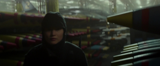 Mockingjay2_1423.jpg