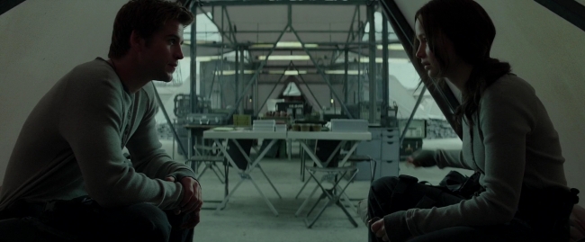 Mockingjay2_1695.jpg