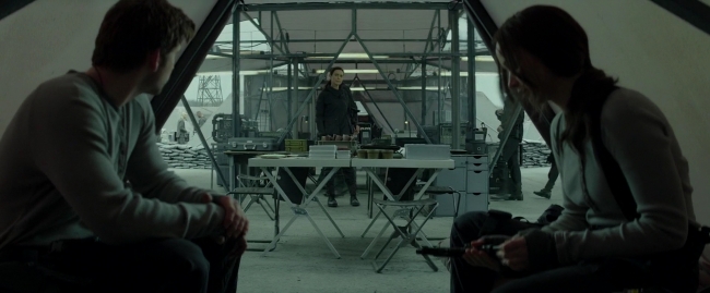 Mockingjay2_1704.jpg