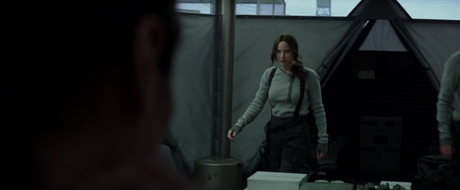 Mockingjay2_1708.jpg