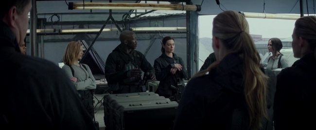 Mockingjay2_1774.jpg